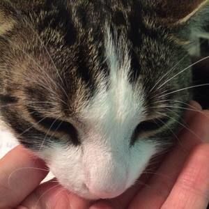 Meet your Posher, Wei